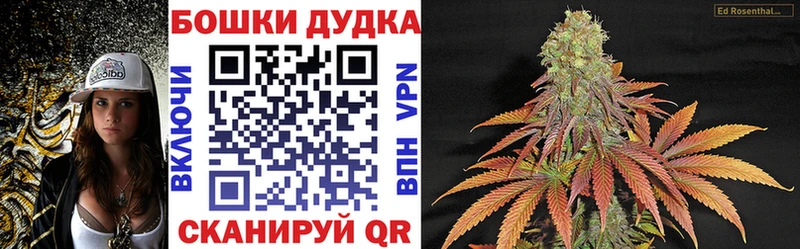 Каннабис OG Kush  Кострома 